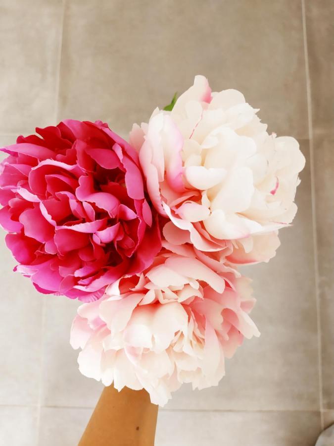 ポルレッツァ Peonia 2 Posti Wi-Fi Ac Free Park Jacuzzi Bed & Breakfast エクステリア 写真